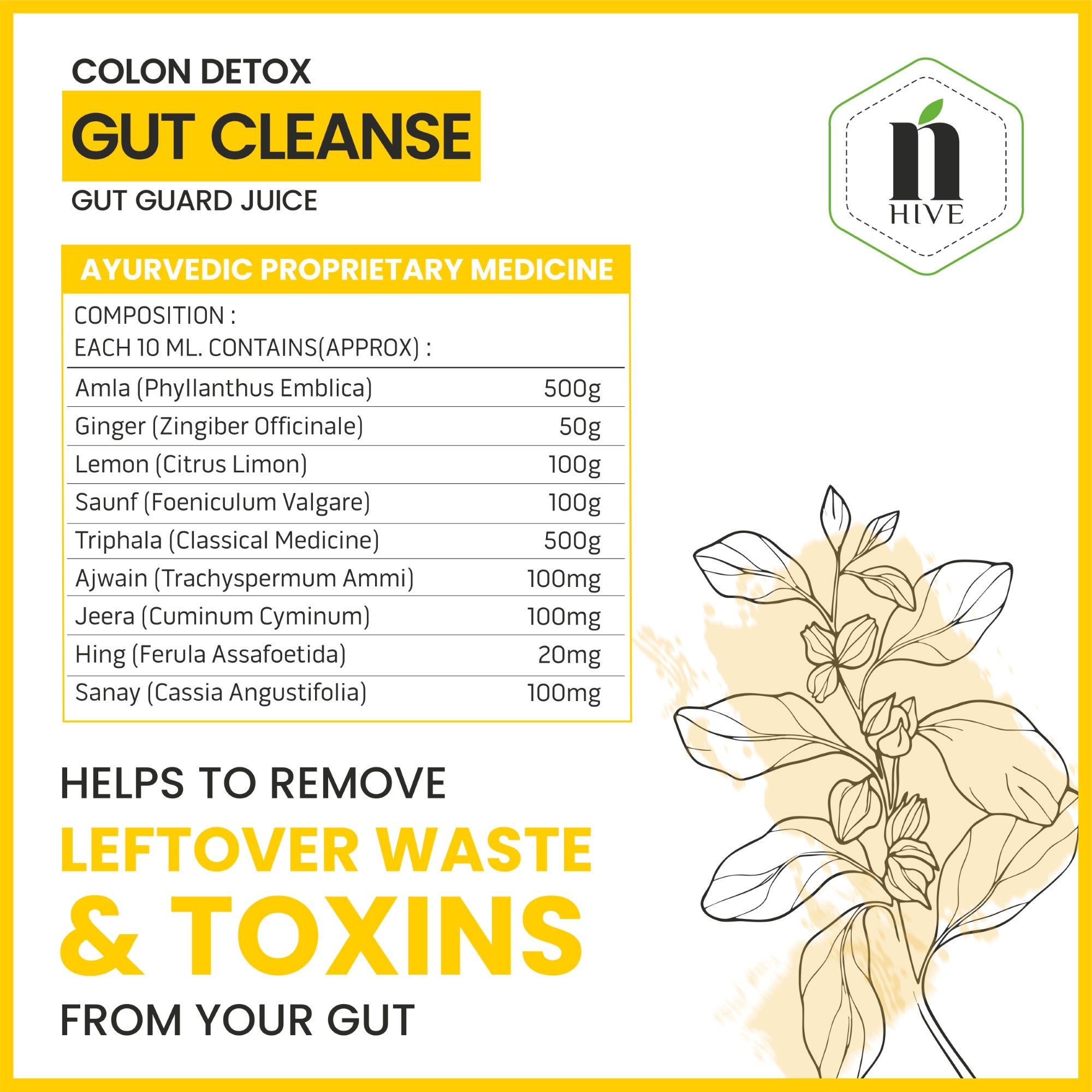 Nature's Hive Gut Cleanse Juice | Colon Detox & Digestive Health Support | Herbal Gut Detox Formula | 1 L